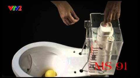 MS91-Bồn cầu tiết kiệm nước