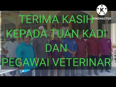 PEMERIKSAAN KAWASAN SEMBELIHAN KORBAN OLEH JABATAN AGAMA ISLAM JOHOR DAN JABATAN VETERINAR .