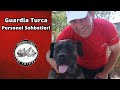 Guardia Turca - Çiftlik Personeli Sohbetleri