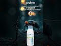 Insecticide product #syngenta #video #views #insects #shorts #pestcontrol #reels #like #household