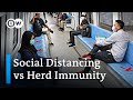 Can controlled 'herd immunity' be an alternative to social distancing? | Coronavirus Analysis