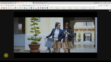 YouTube Iframe Responsive Width Auto Play And Turn Off The Light Button