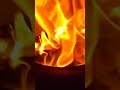 #prayer #shorts 毎日の不動明王 護摩祈願 (心願成就・徐難・徐病)