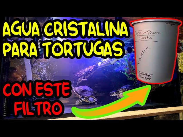 FILTRO PARA TORTUGAS CASERO 🐢❤️ COMO TENER AGUA CRISTALINA │ FILTRO DE  CUBETA 