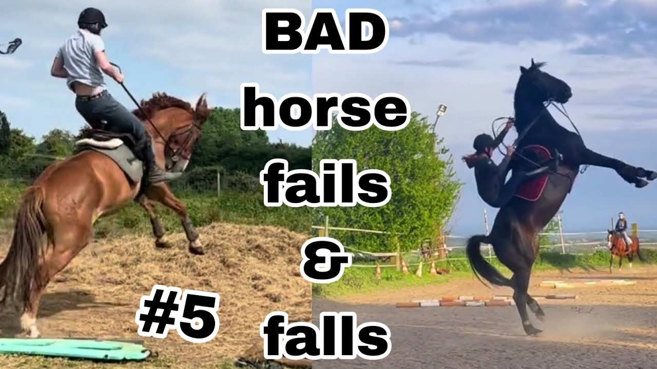 Funny horse fails try not to laugh hotsell