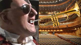 Dracula Flow 6: The beauty of Jazz