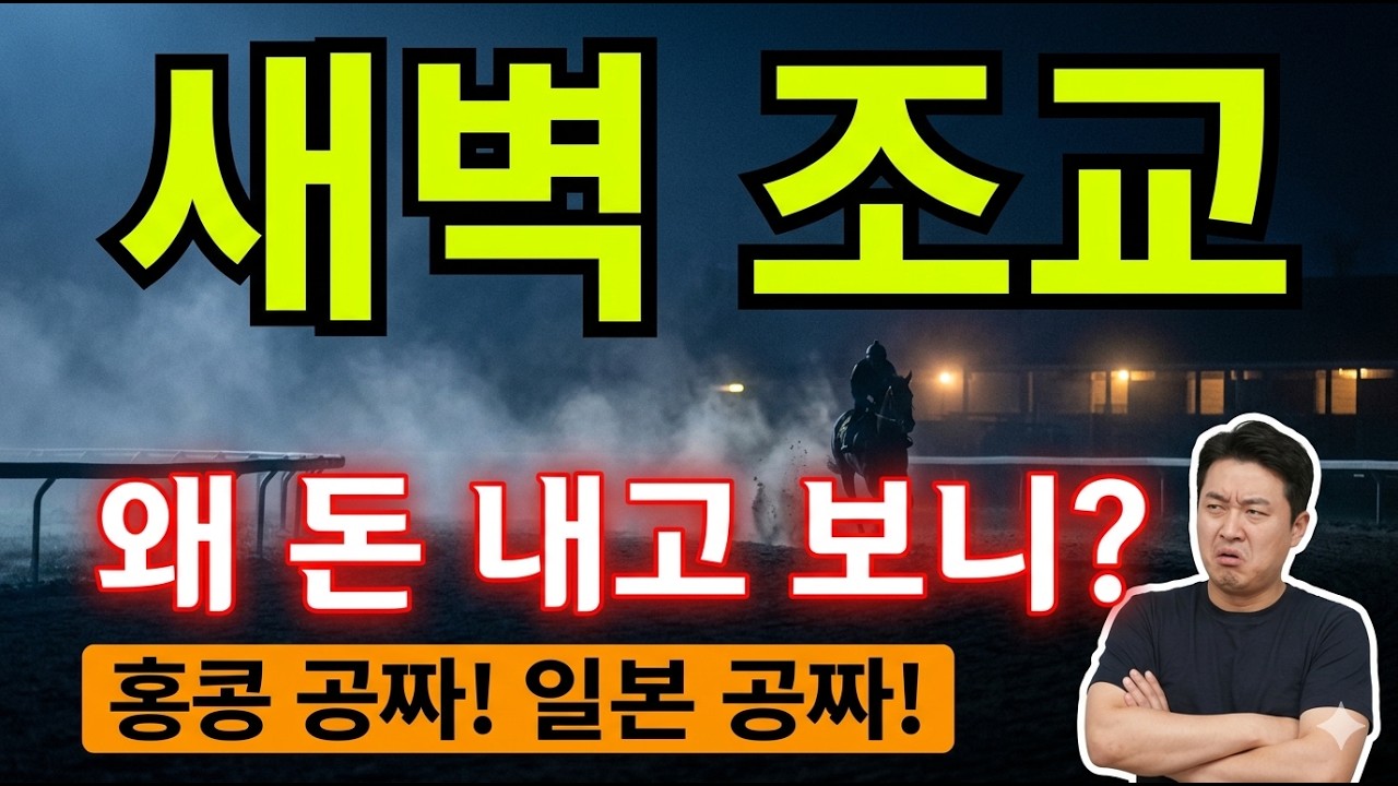 경마 6월 15일 새벽조교 서울경마장 한국마사회