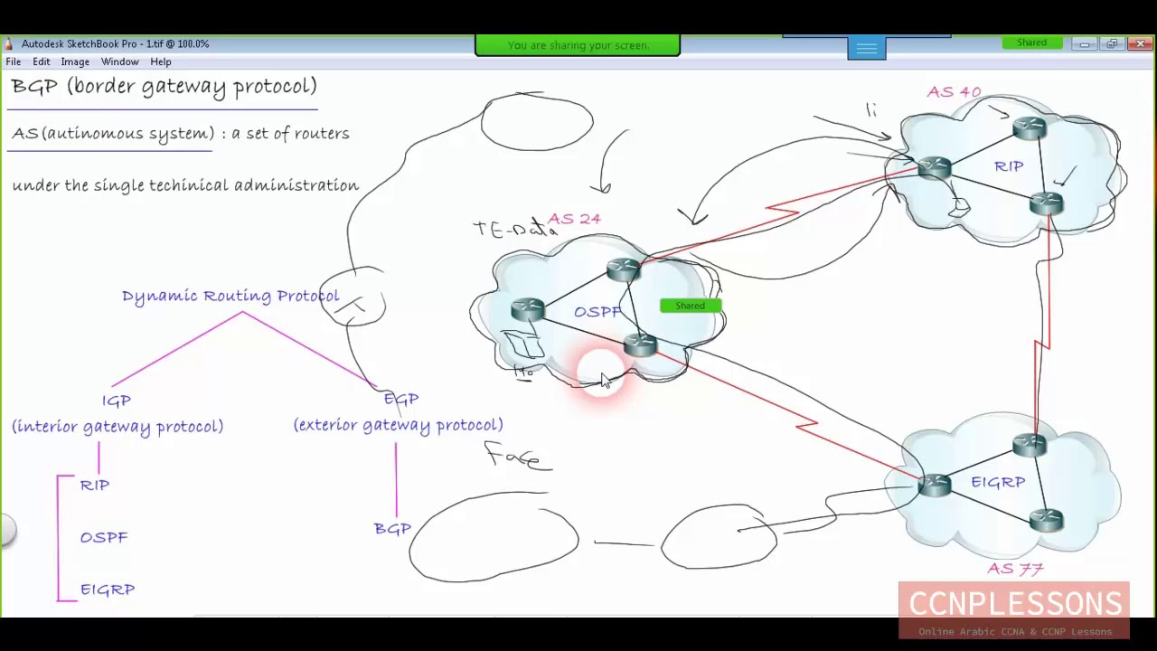 lec 16 BGP introduction - YouTube
