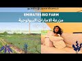 A Day At Emirates Bio Farm Organic Food Farm Tours Family Fun Dubai0997 Emirates A Day At Emirates Bio Farm Organic Food Farm Tours Family Fun Dubai0997 Emirates