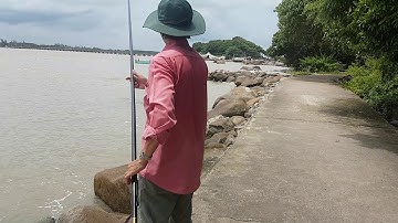 CÂU CÁ Ở HÒN ĐÁ BẠC CÀ MAU 2