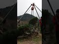 松の木をチェーンブロックでスルッと抜根 #抜根 #チェーンブロック #清掃 #伐採