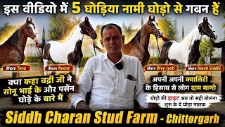 इस वीडियो मैं की 5 घोड़िया नामी घोड़ी से गबन हैं क्या बोला सोनू भाई कुल्फी बारे के बारे मैं ! 