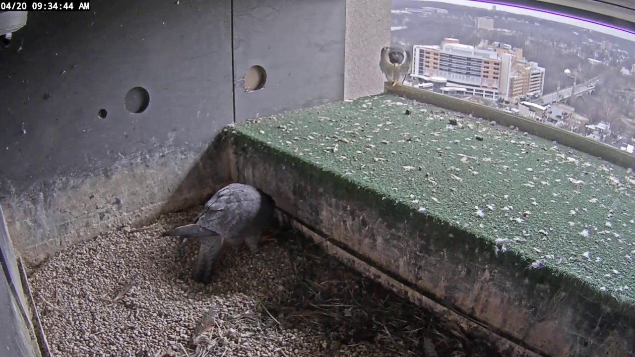 Wilmington. usa.2020 02 04 165313 Wilmington. USA.2020 02 04 165313 - YouTube