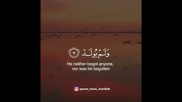 حالات واتس اب تلاوة القارئ؛🌺ماهر المعيقلي☘️ سورة الإخلاص🍀