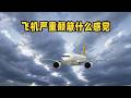 90秒揭秘！飛機顛簸真會致墜機嗎？ #飞机颠簸 #气流 #坠机 #航空安全 #惊魂时刻