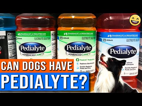 Can Dogs Have Pedialyte? | Can I Give My Dog Pedialyte? | Is Pedialyte Safe For Dogs?