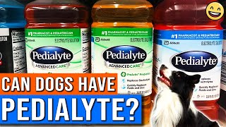 Can Dogs Have Pedialyte? | Can I Give My Dog Pedialyte? | Is Pedialyte Safe For Dogs?