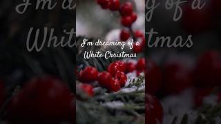 “WHITE CHRISTMAS”  #christmassongs #christmasshorts #whitechristmas #shortsfeed #shorts #shortssong