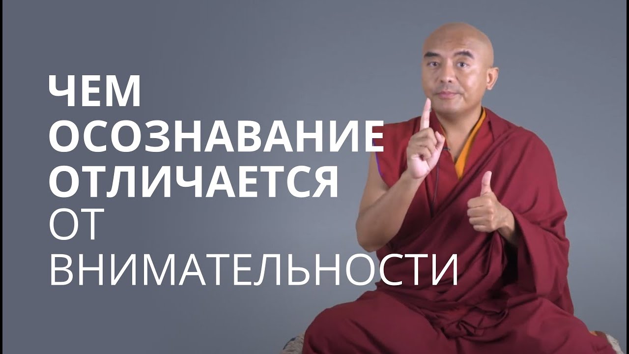 Чем осознавание отличается от внимательности — Йонге Мингьюр Ринпоче ...