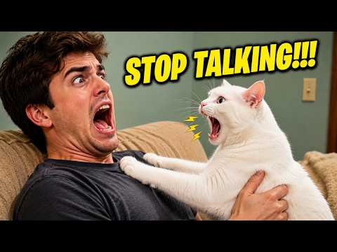 I Tried To Argue With My Cat... Big Mistake 😂 | Funniest Talking Cat Moments