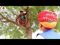     a rajasthani short film  kalu beti  ladu ji