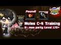 [GLOBAL] WonderKing Online: Berserker Training Level 170! c-4 Moles 5-man PARTY!