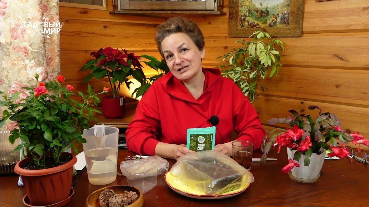 Порно анасы ұлымен және әкесі сауынмен