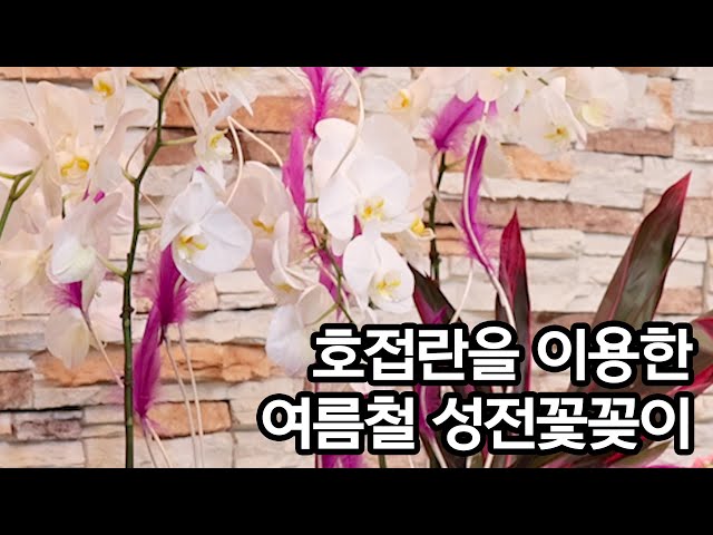 배정구의 꽃수다 유튜브 분석 - 유하