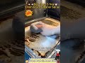 Oven &amp; Grill Cleaner Spray
