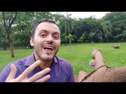 Hipnose Conversacional, Pnl e Persuasão