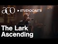 The lark ascending  richard tognetti  aco studiocasts