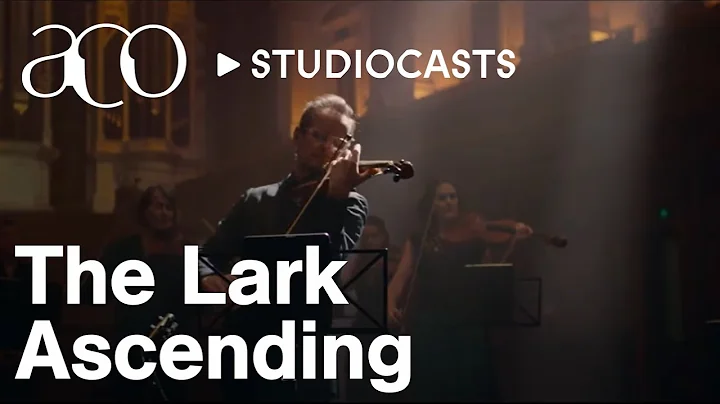 The Lark Ascending | Richard Tognetti | ACO Studio...