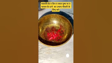 नवरात्रि के दिन 9 लाल पुष्प का उपाय नौकरी के लिए #pradeepmishra #shortvideo #navratri