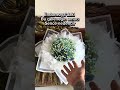 Endonezya’daki bu geleneğin amacı sence nedendir…