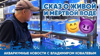 Аквариумные новости с Владимиром Ковалевым (12.04.2024). Сказ о живой и мёртвой воде 👼 😈