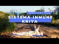 Kriya para el Sistema Inmunológico