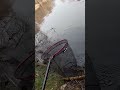 #karpfenangeln im Teich #guckt euch das ganze Video an