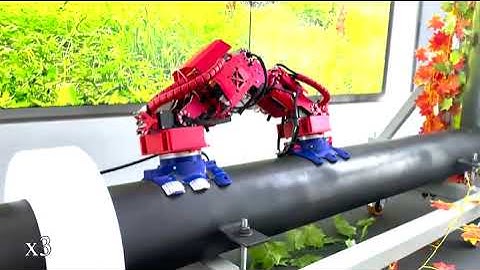 Nature Inspired Machine Intelligence from Animals to Robots