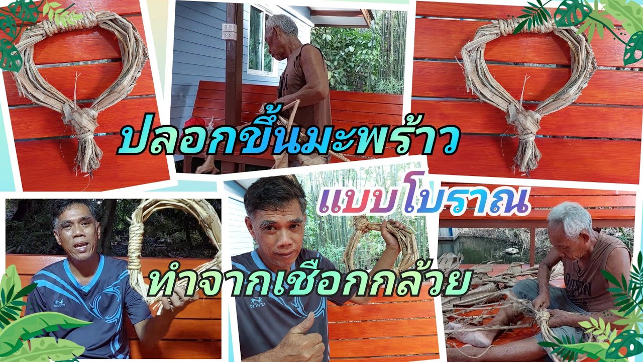 ปลอกขึ้นมะพร้าวแบบโบราณ=อุปกรณ์การขึ้นมะพร้าว ที่ใช้เชือกกล้วยทำ @YoTree_Coconut