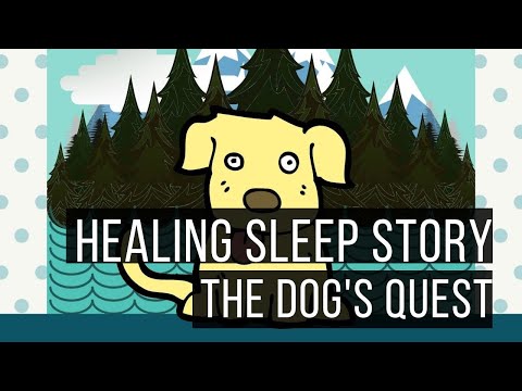 The Dogs Quest (Sleep Story for Grown Ups)