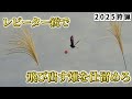 【狩猟】飛び出す雉をM870で仕留めろ！