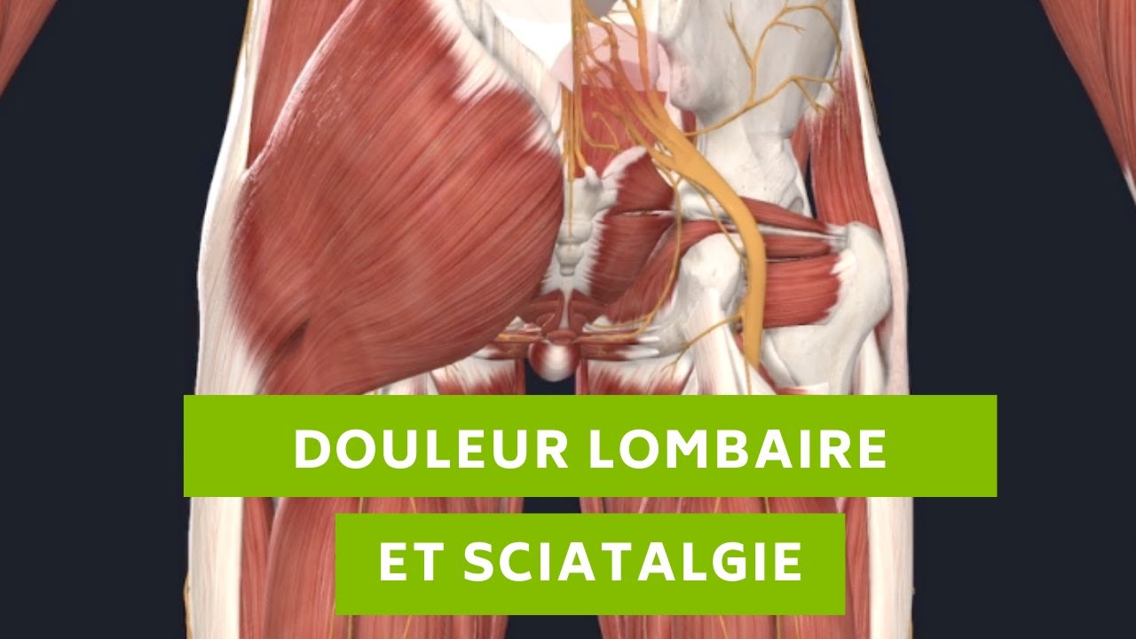 Douleurs lombaires - YouTube