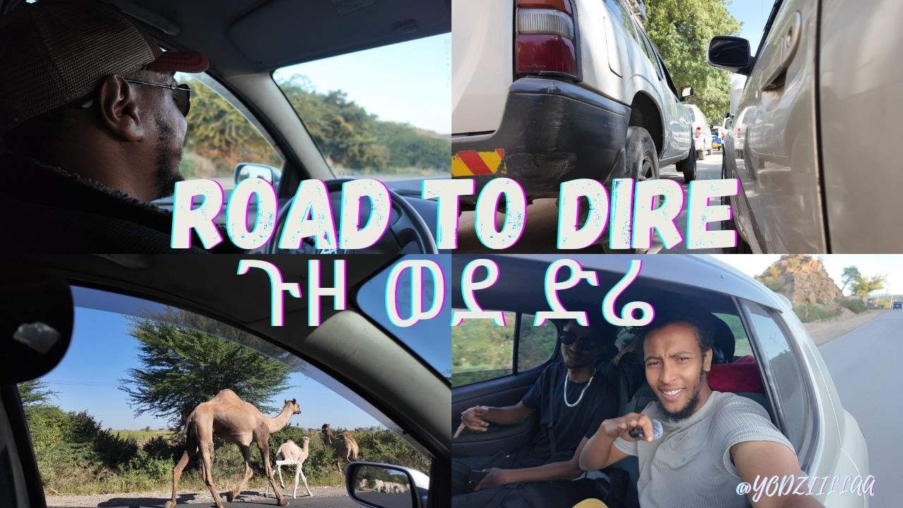 Trip to dire