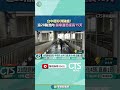 非洲豬瘟疫情