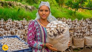 Pahadi Didi Ka Oyster Mushroom Farming I Uttarakhand Street Food