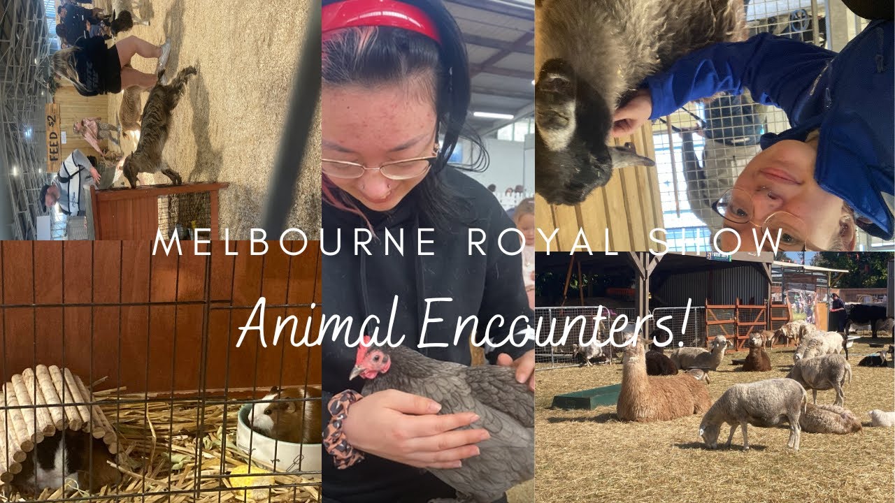 Cute Animals at The Melbourne Royal Show 2023