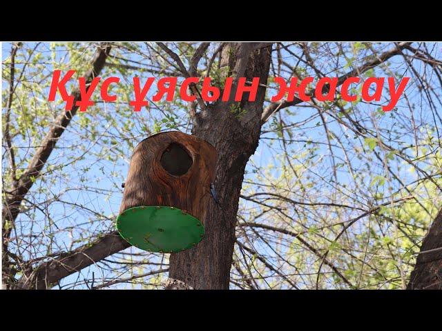 ВК-да белбеумен ұру (жеке порно фото). Олар бір топ еркектерден сперманы сорып, жұтады.