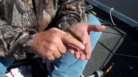 New Stanley Sidewinder