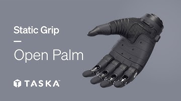 TASKA Static Grip | Open Palm