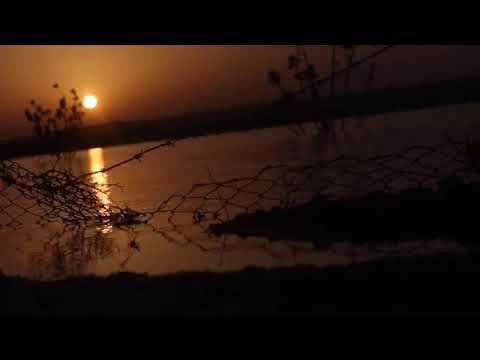 إلى الله نمضي هنيأ إلى من سبق الغامدي أناشيد